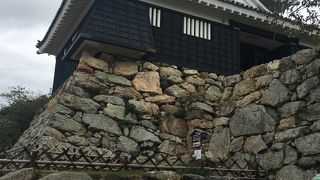 浜松市を一望できます