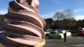 ソフトクリームがおすすめ