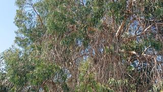 生命力を感じます。