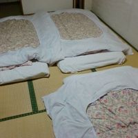 ３０１号室・和室　トイレ・お風呂共同