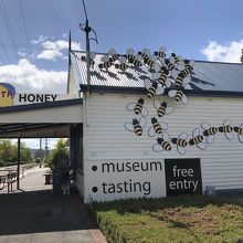 屋根にミツバチ