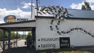 蜂蜜製品を売っています