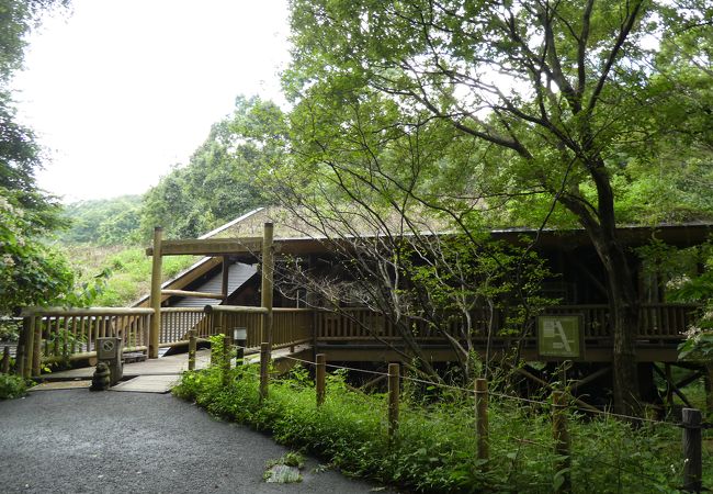 さいたま緑の森博物館