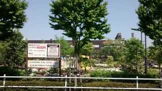 ゆったりとした緑も多いショッピングモール