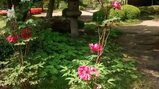 、落ち着いた感じの建築様式がたいへん魅力的で必見