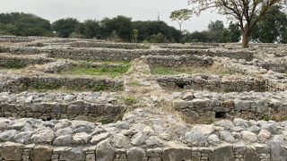 広大なタキシラ都市遺跡