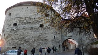 太っちょで、目立ちますから、昔から航海上も目印になっていたようです。