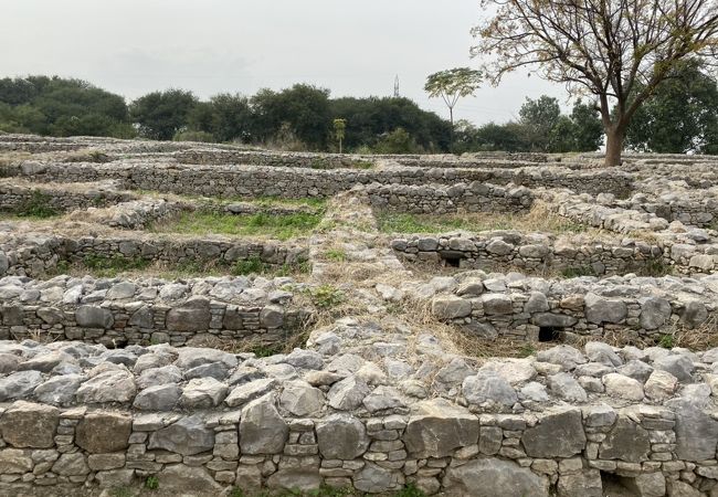 広大なタキシラ都市遺跡