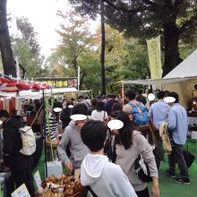 焼き物等の出店エリア。下は絨毯で足元安心。