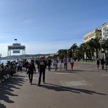 素敵なのは散歩道だけじゃない！