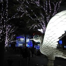 数年に一度作品が入れ替わるそうです