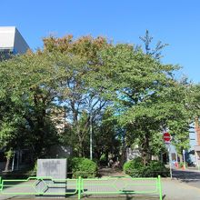 甘酒横丁から北西側の出入口(入ると桜の木やベンチがあります)