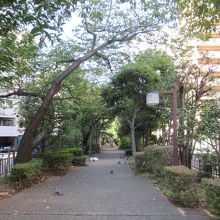 アーチ門をくぐって直ぐの様子(鳩もいます)