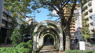 緑が多く静かで休憩や散歩などにとても良いところです