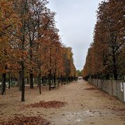 紅葉が始まってました！