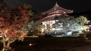 ライトアップを見てきました