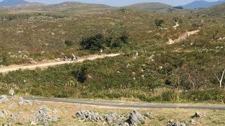 広大なカルスト台地