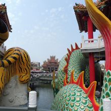 2人の尻尾を後ろから激写！