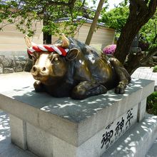 御神牛（皆触るから顔だけピッカピカ）