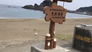 ウミガメが産卵に来る海岸