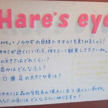 Hare's eyeの解説はこちらで。