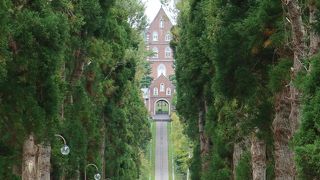 並木の奥に見える修道院