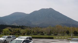 昼食に寄りました