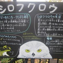 北海道よりもより過酷な北極圏で暮らされているんですね。