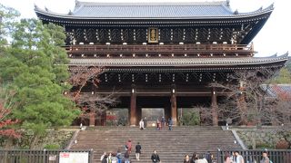 大きさにびっくりです