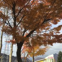 駐車スペースからの　秋の終焉間際の　紅葉