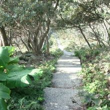 灯台への路