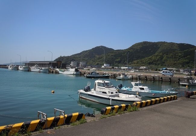 油津港 クチコミ アクセス 営業時間 日南 フォートラベル