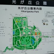 東京のベッドタウンの素敵な公園