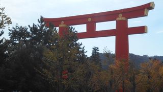 迫力がある鳥居です