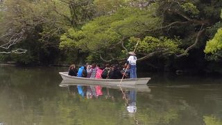 たまたま見た川下り
