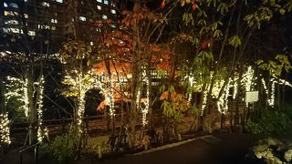 夜はライトアップしていました