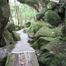 渓谷への路