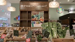 相模大野ボーノにあります