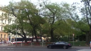 フラヴニー ナードラジー停留所