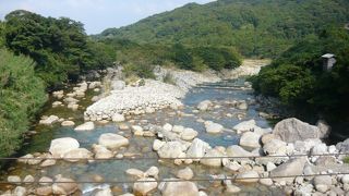屋久島の自然の豊かさに感動しました