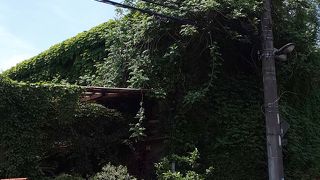 開店前から行列しています