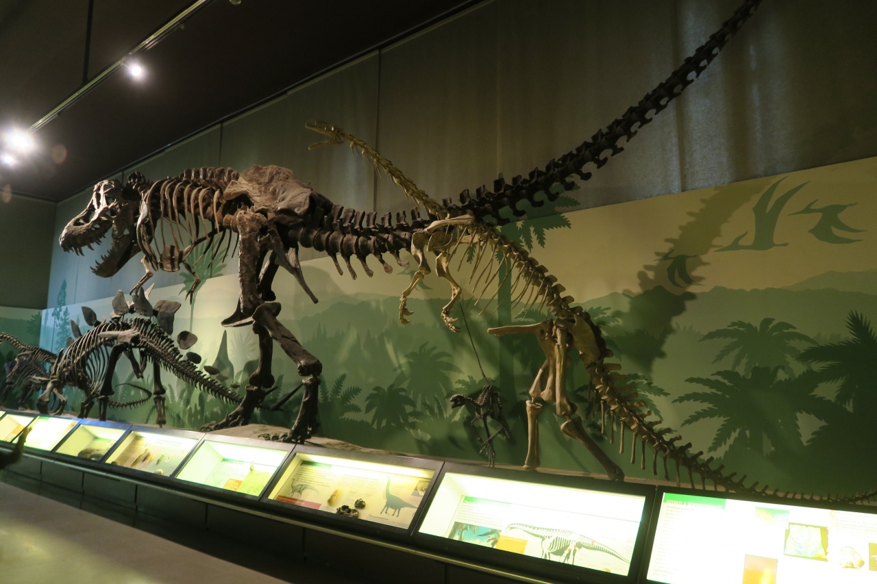 日曜日に行ったので、家族連れで混み合っていました。