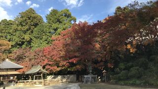 大河ドラマ　西郷どんの舞台