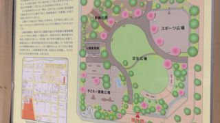 バスケットボールのゴールがあります