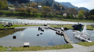 道の駅「水紀行館」のすぐそば！おさかなもいるよ。