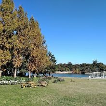 欧州の公園の雰囲気が好きだ