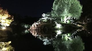 舟に乗りナイトクルーズ素晴らしい