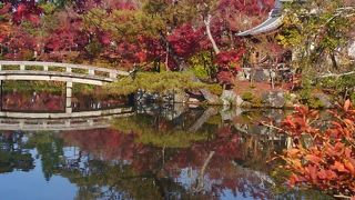 素晴らしい紅葉