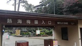 紅葉シーズンはもみじが見事な熱海梅園