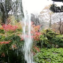 梅見の滝を裏から眺める